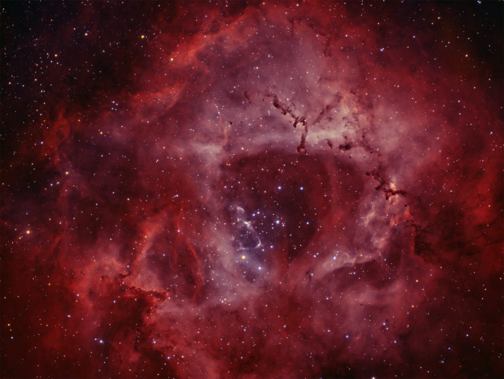 NGC2244 Rosette nebula 
