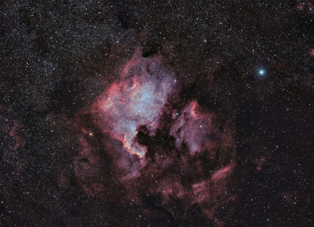 NGC7000 North America and Pelican nebulae in Cygnus