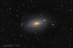 Messier 63 spiral galaxy