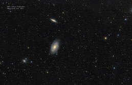 M81 Galaxy Group