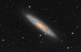 NGC253 Sculptor Galaxy crop