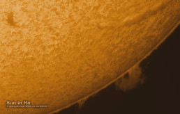 Sun in H alpha 2026.03.04