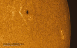 Sun in H alpha 2026.03.06